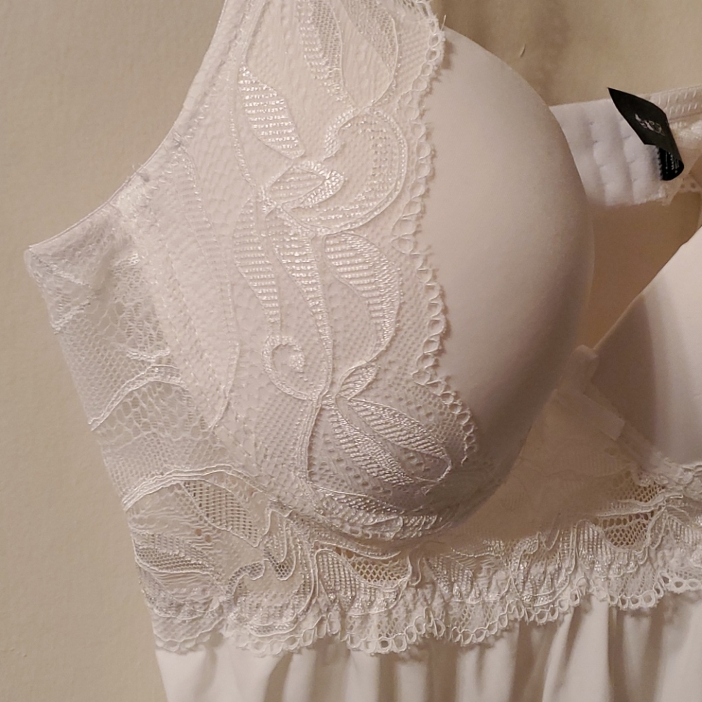 Rene Rofe - Picture 8 of 11